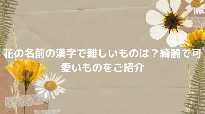 花の名前の漢字で難しいものは 綺麗で可愛いものをご紹介 ばなho Iho I