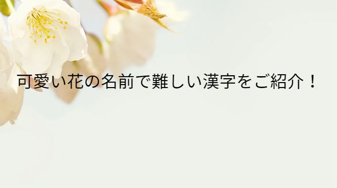 花の名前の漢字で難しいものは 綺麗で可愛いものをご紹介 ばなho Iho I